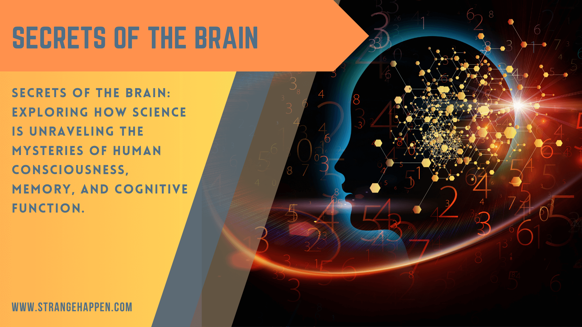 Mindscape: Exploring the Secrets of the Human Mind Image