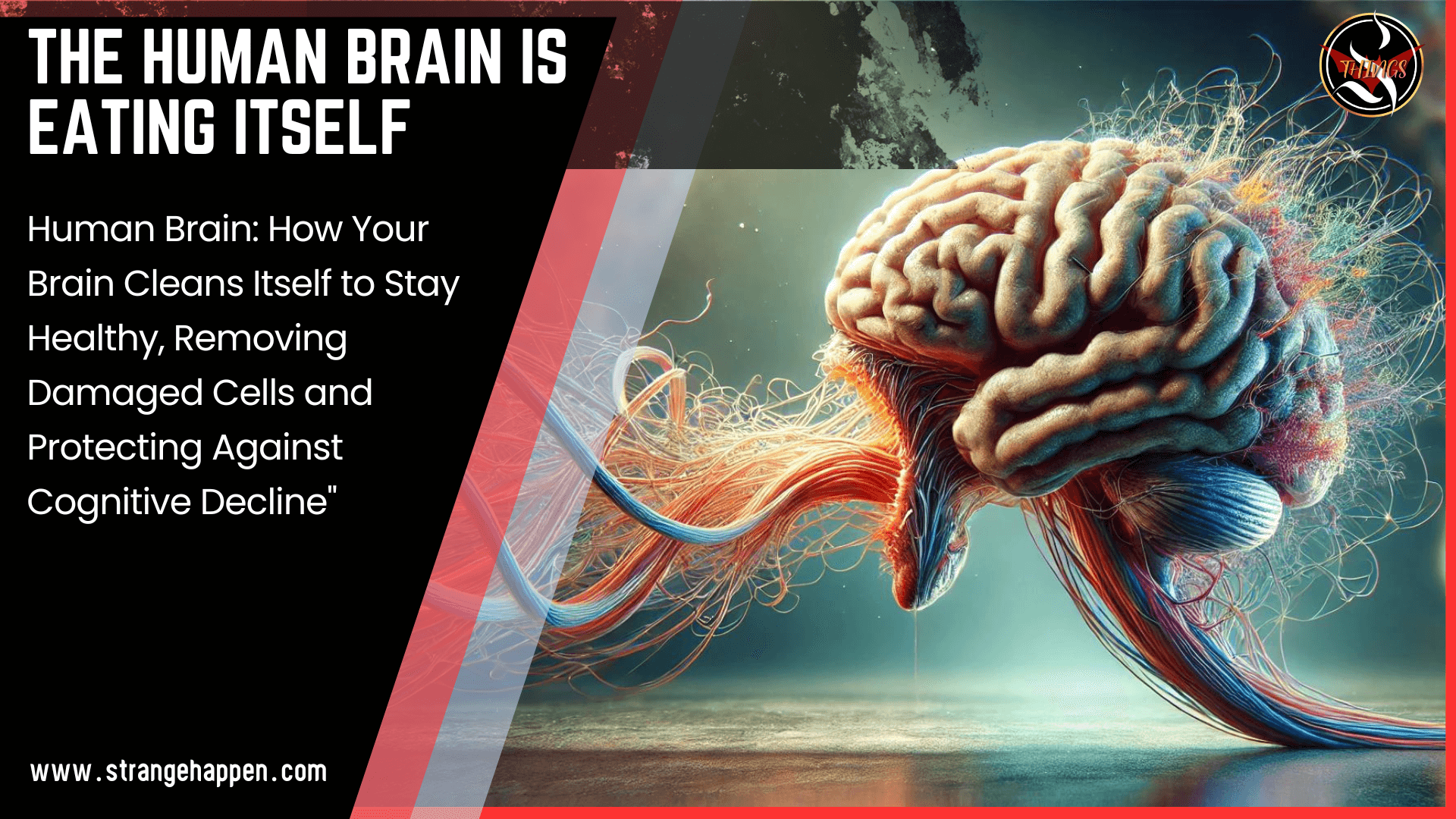 The Human Brain is Eating Itself