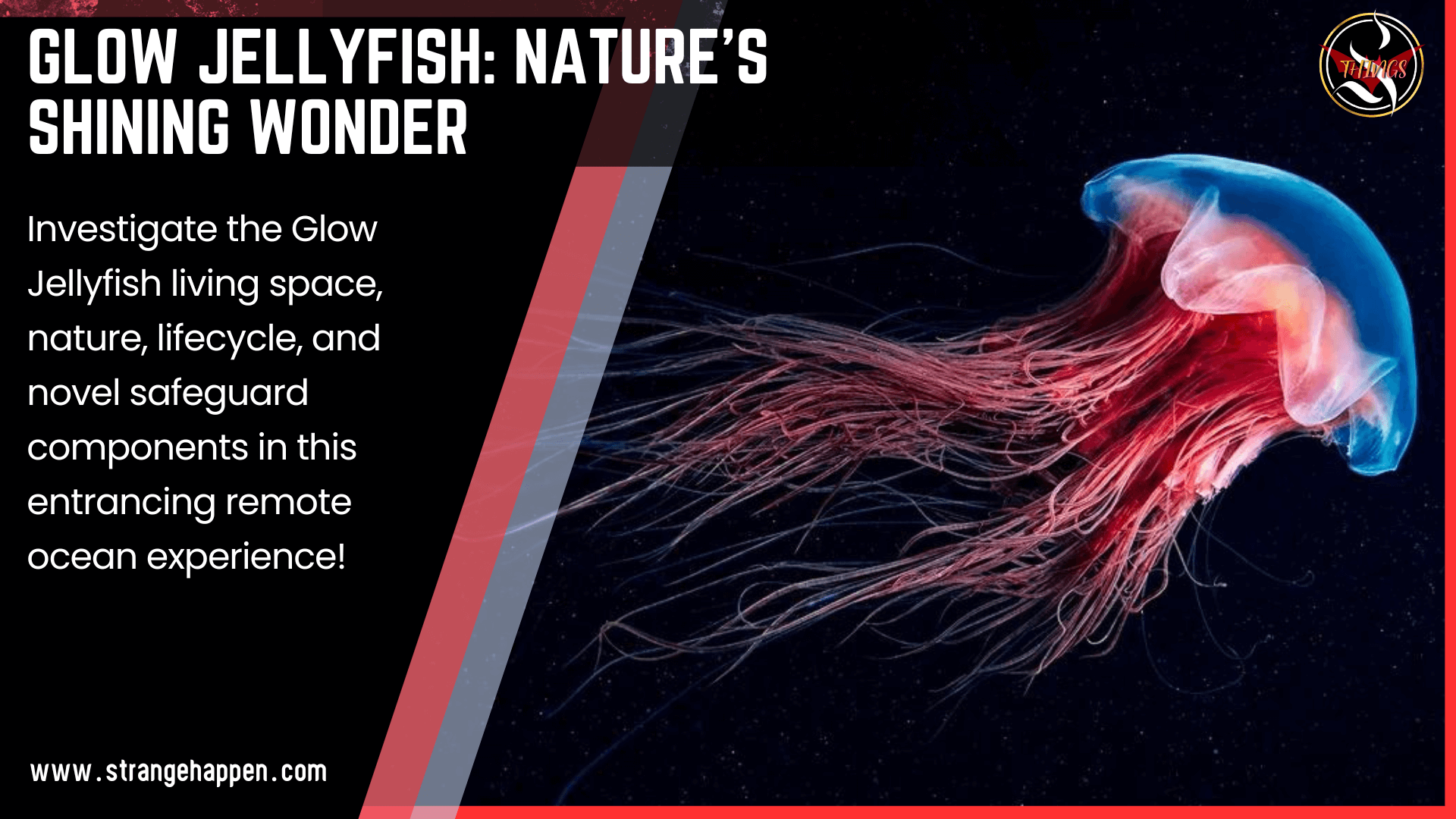 A glow jellyfish with long tentacles