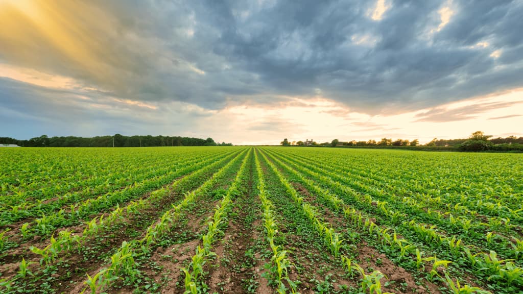 Latest Scientific Discoveries; New Approach to Crop Growth