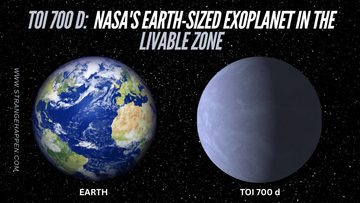 TOI 700 d and Earth in a Vast Viewpoint