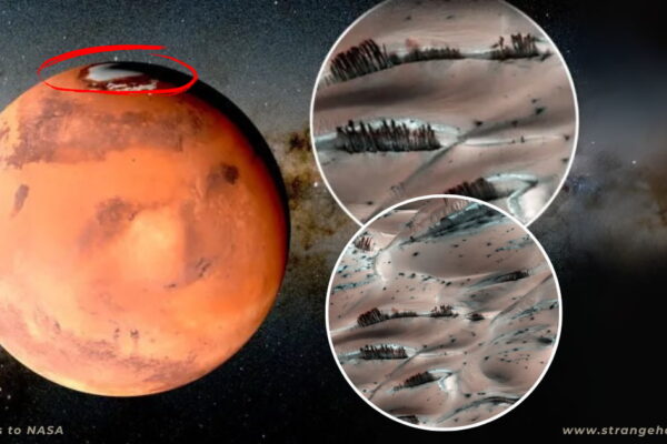 A full view of Mars with a zoomed-in section showing detailed sand dunes and streaks resembling trees on Mars, captured in rich orange-red tones under a starry space backdrop.