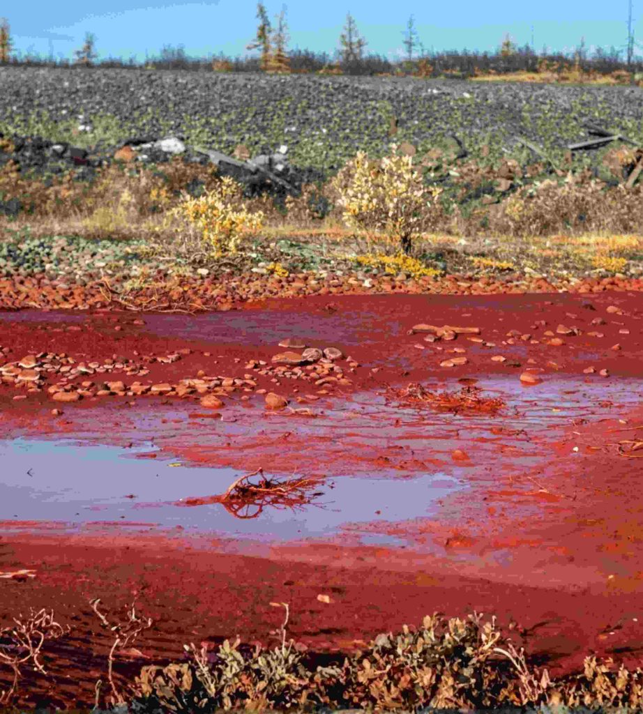 A lone crawfish partially submerged in the reddish brown contaminated waters of the blood river in Russia surrounded by dry rocks and sparse vegetation in a barren semi arid landscape