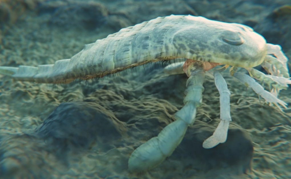 Giant sea scorpion swimming across the seafloor in an underwater reconstruction