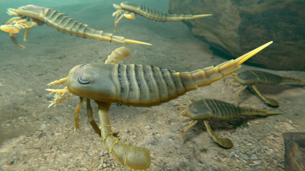 Prehistoric Eurypterids Swimming Through an Ancient Seabed Prehistoric eurypterids, or sea scorpions, swimming across a shallow ancient seabed
